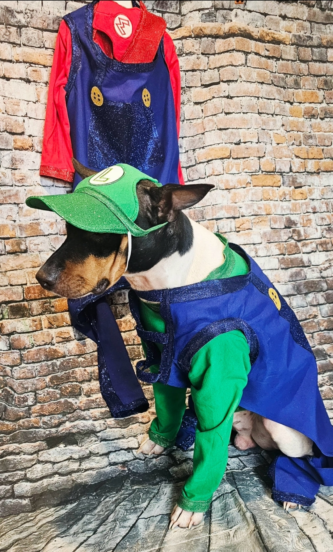 Mario pet costume, Luigi pet costume, Mario dog costume, Luigi dog costume