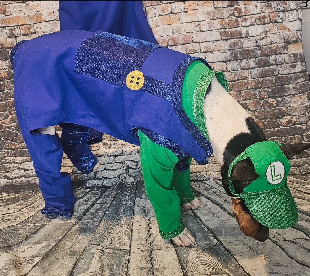 Mario pet costume, Luigi pet costume, Mario dog costume, Luigi dog costume