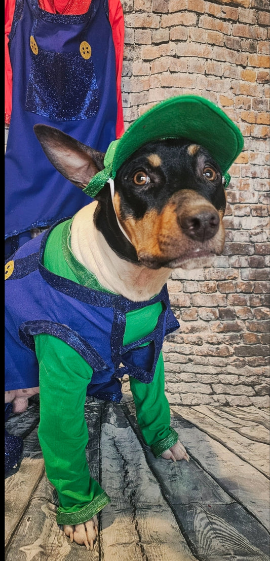 Mario pet costume, Luigi pet costume, Mario dog costume, Luigi dog costume