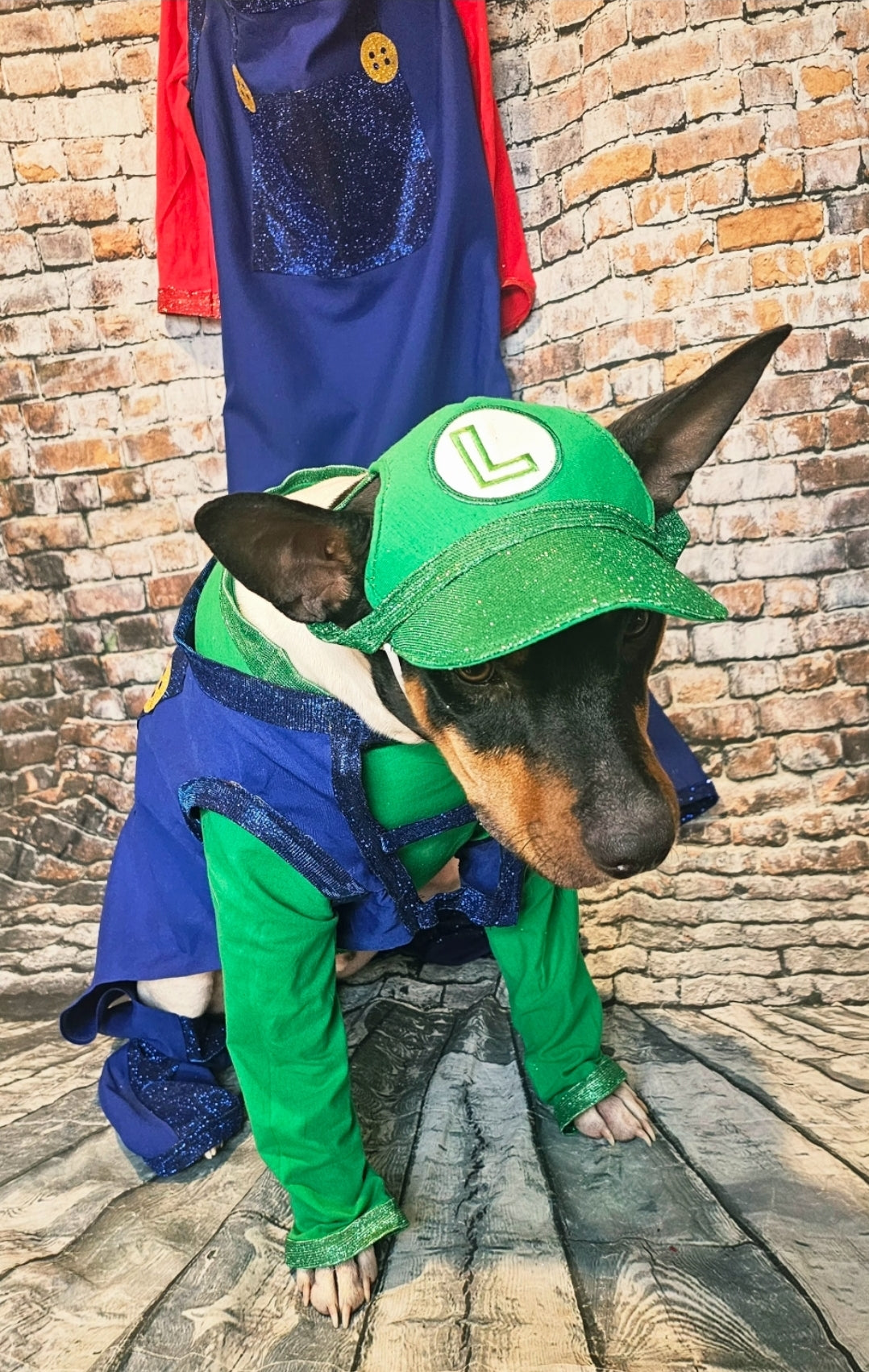 Mario pet costume, Luigi pet costume, Mario dog costume, Luigi dog costume