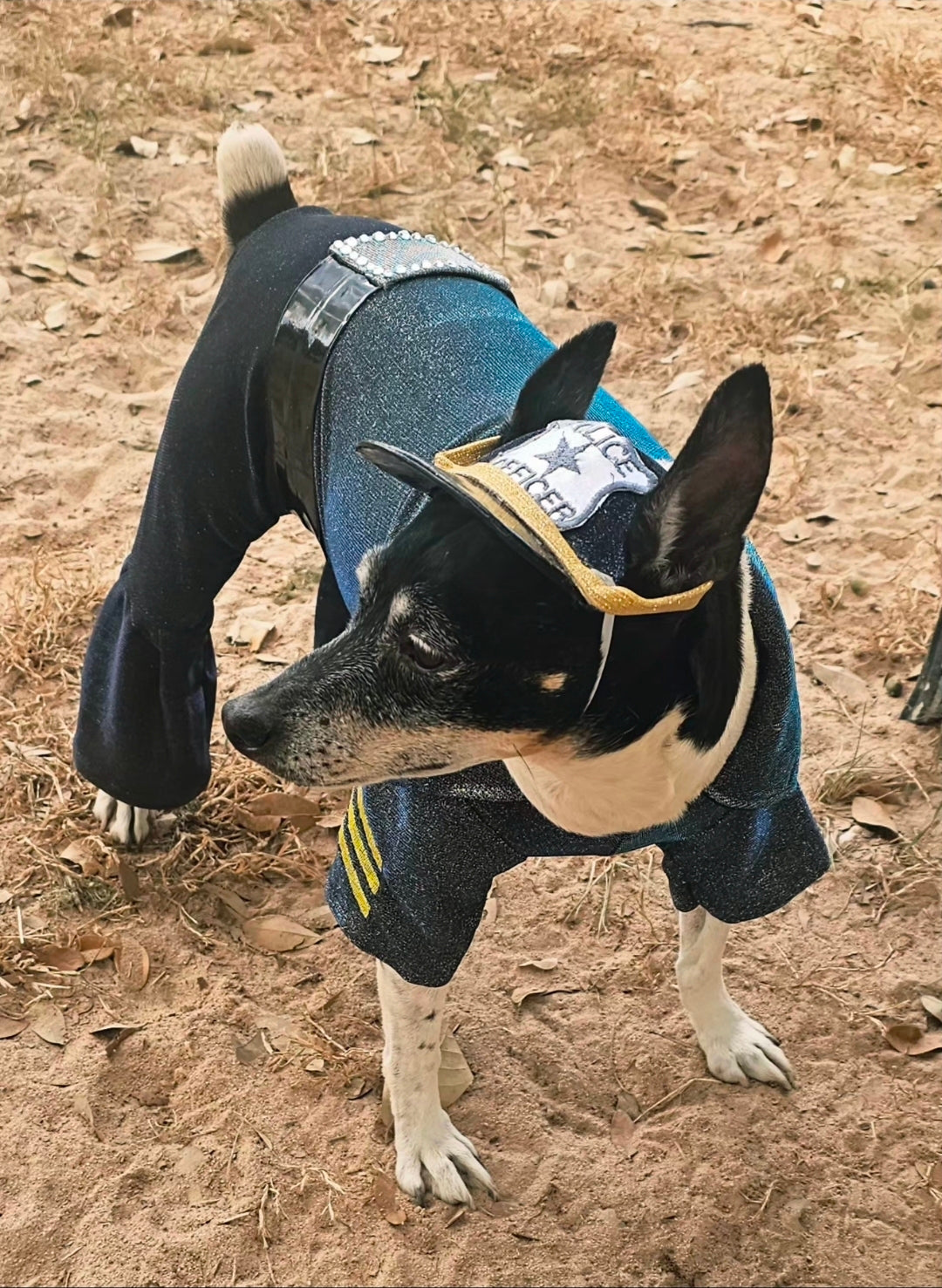 Police Officer Pet Body Suit, cop pet body suit, police officer pet costume