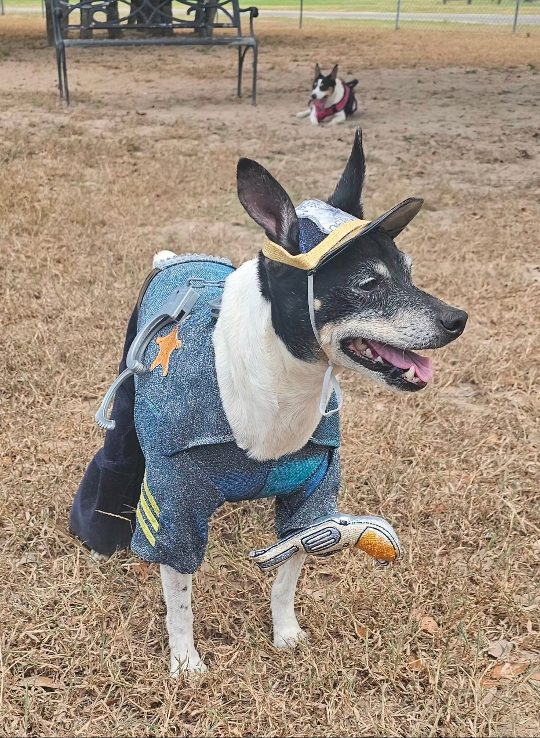 Police Officer Pet Body Suit, cop pet body suit, police officer pet costume
