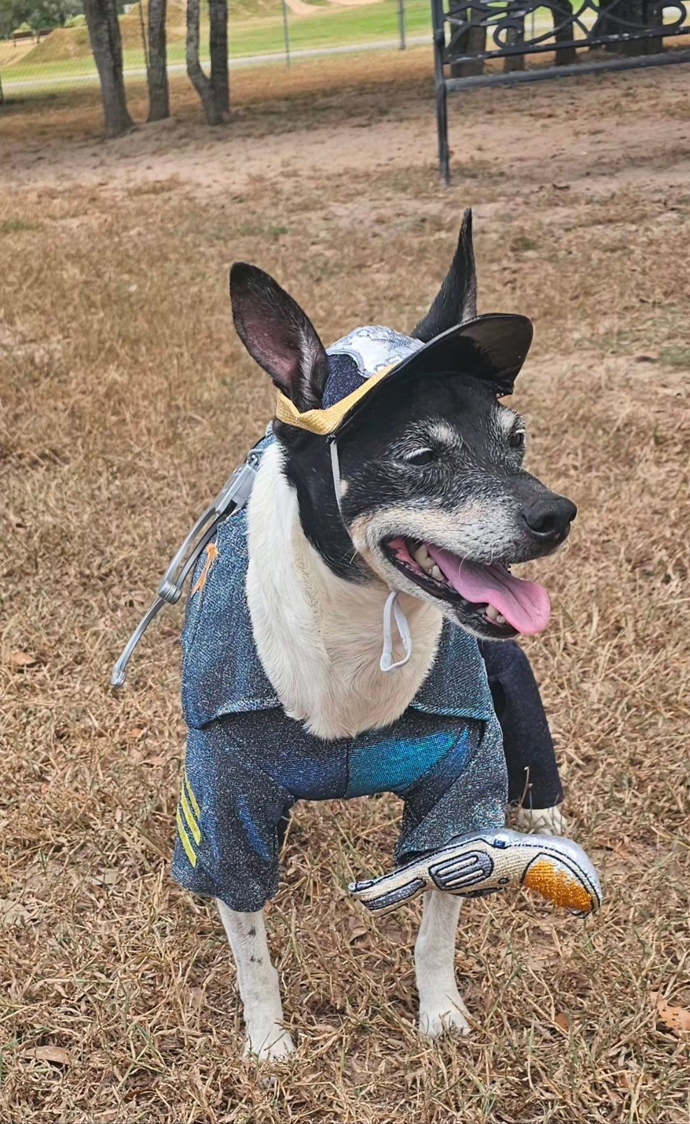 Police Officer Pet Body Suit, cop pet body suit, police officer pet costume