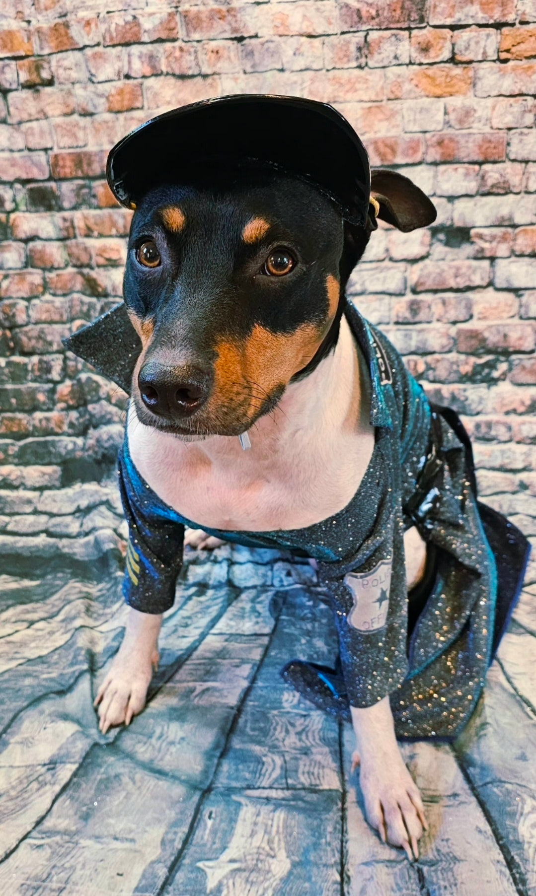 Police Officer pet dress, cop pet dress, Police officer dog costume, police officer cat costume