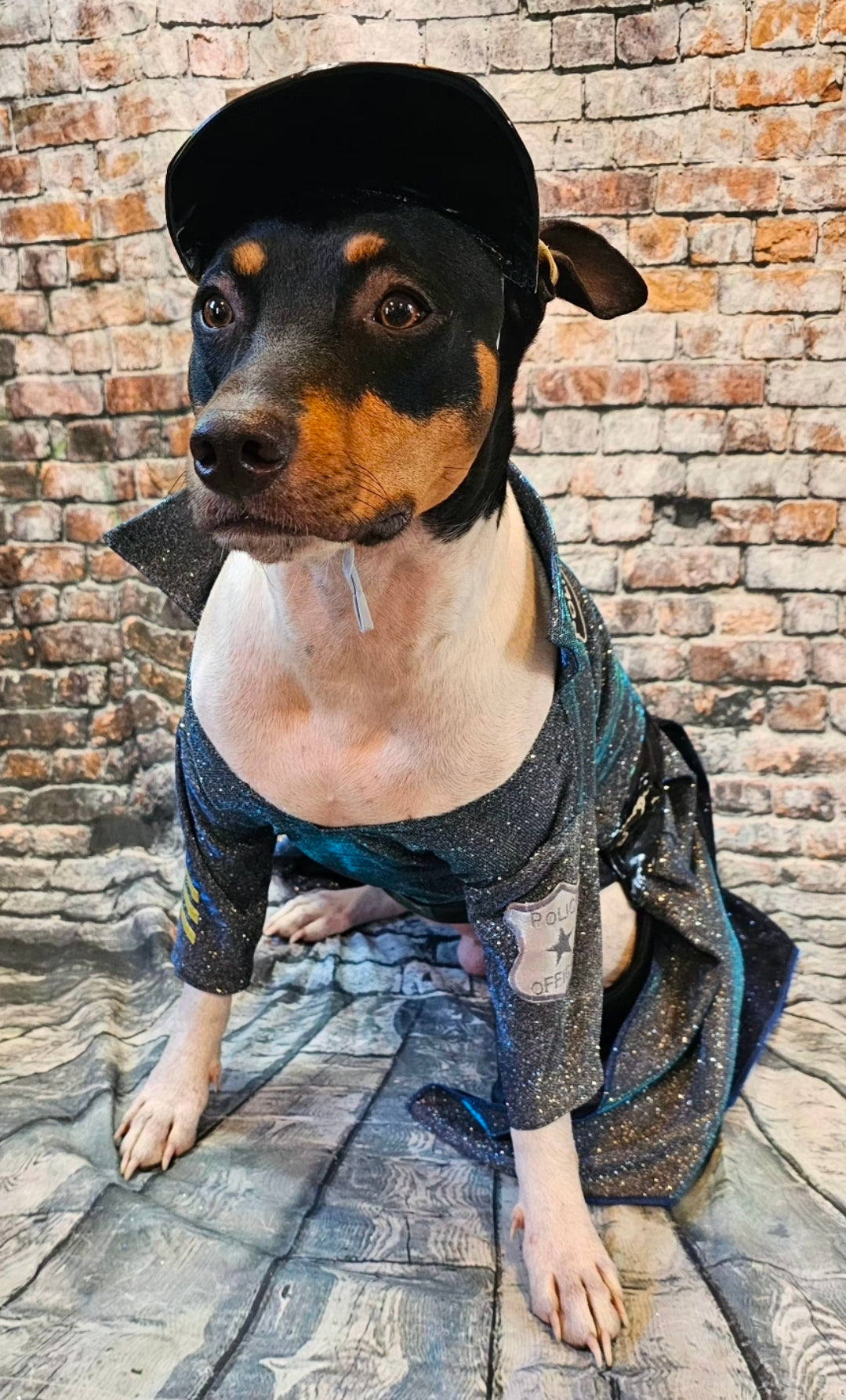 Police Officer pet dress, cop pet dress, Police officer dog costume, police officer cat costume