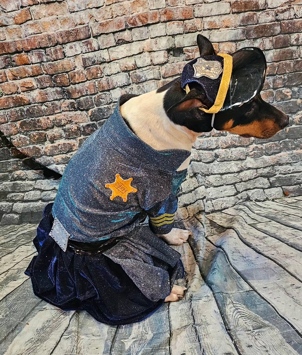 Police Officer pet dress, cop pet dress, Police officer dog costume, police officer cat costume