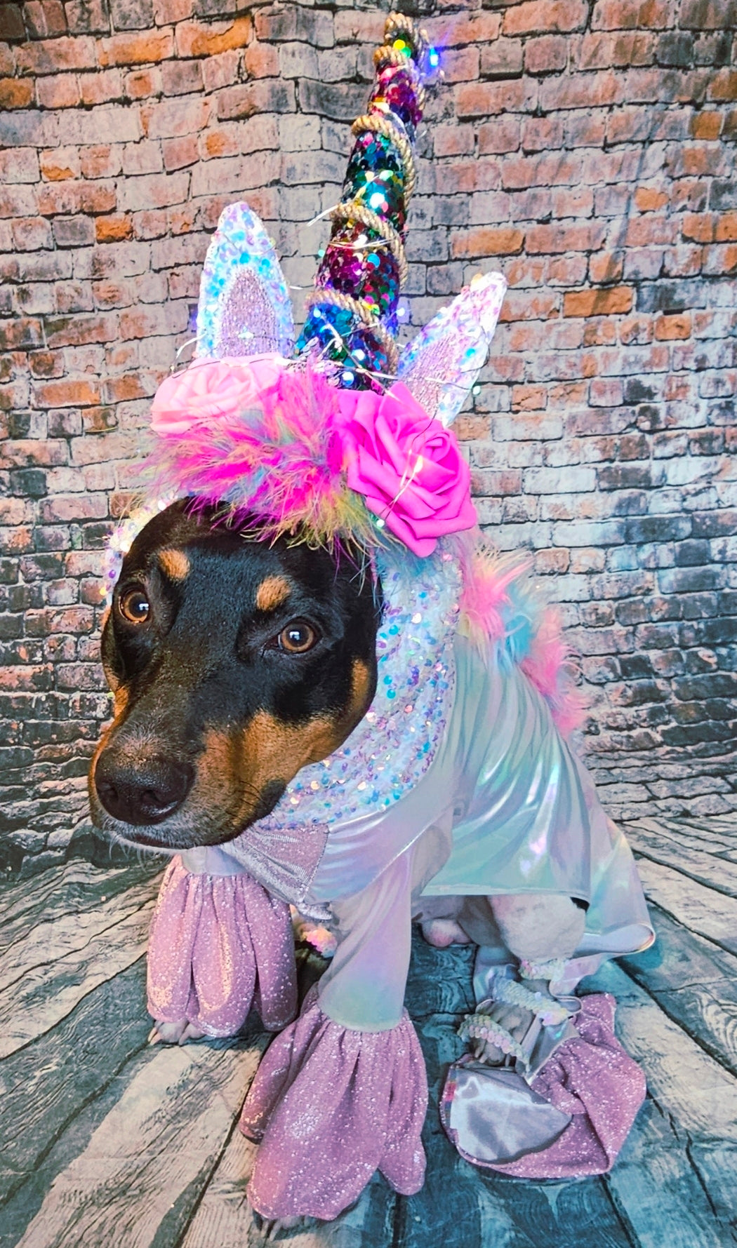 Unicorn light-up pet costume, Unicorn dog costume