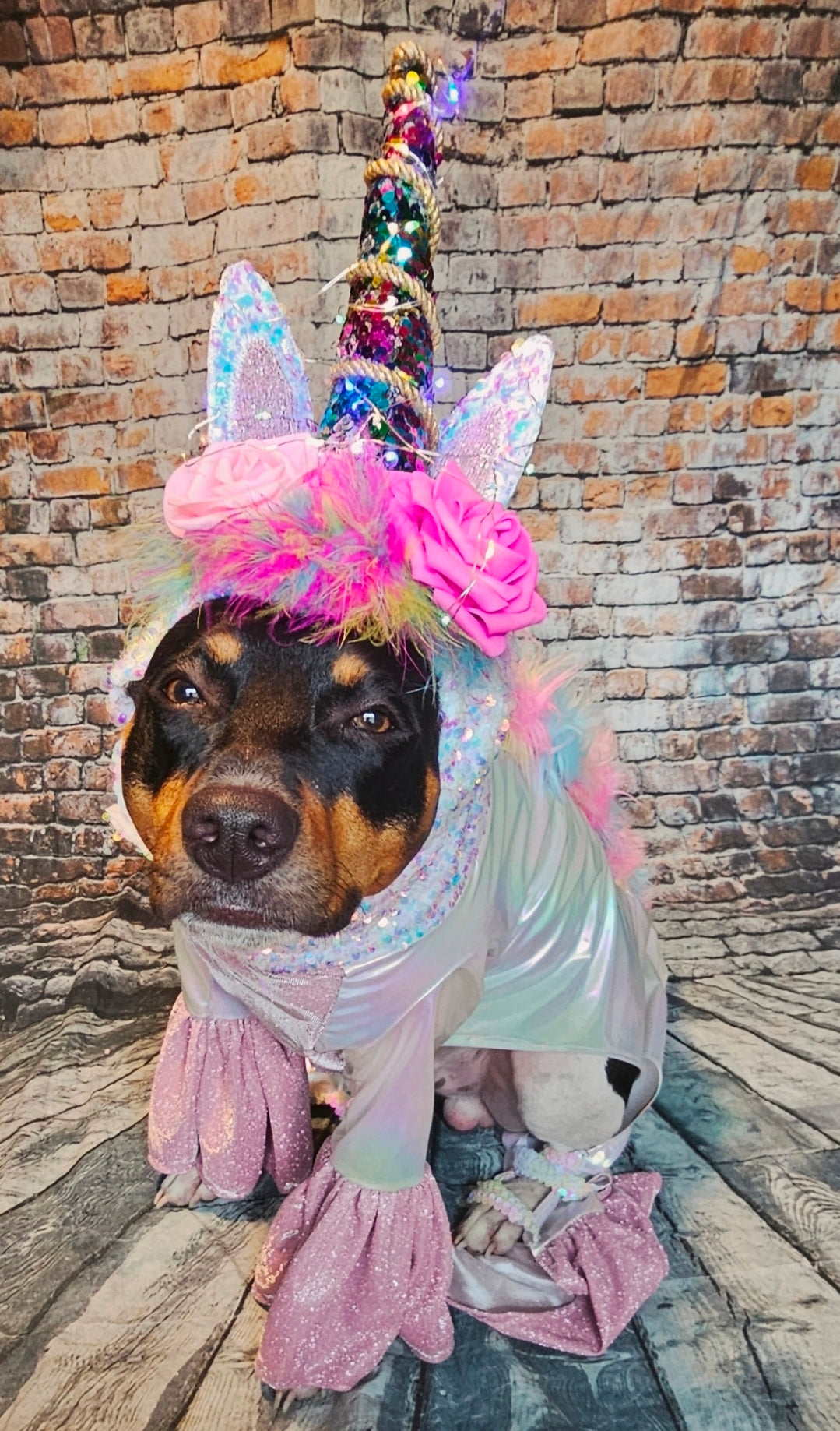Unicorn light-up pet costume, Unicorn dog costume