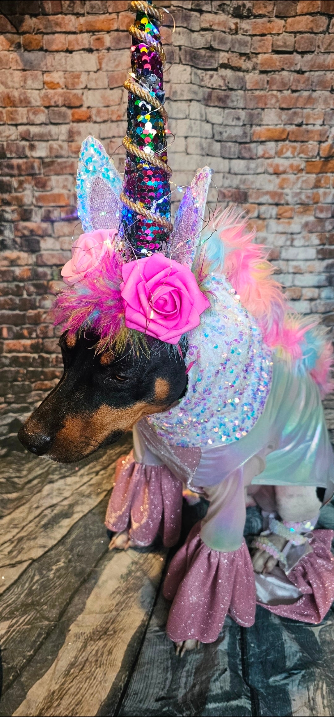 Unicorn light-up pet costume, Unicorn dog costume