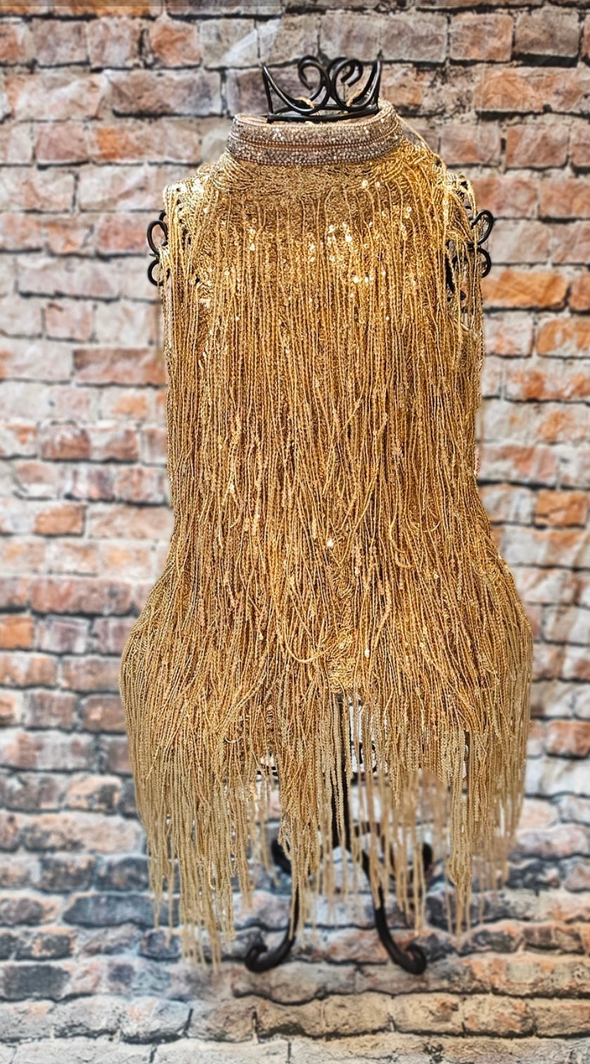 Flappers sequin pet costume, flappers fringe pet costume, flapper girl pet costume