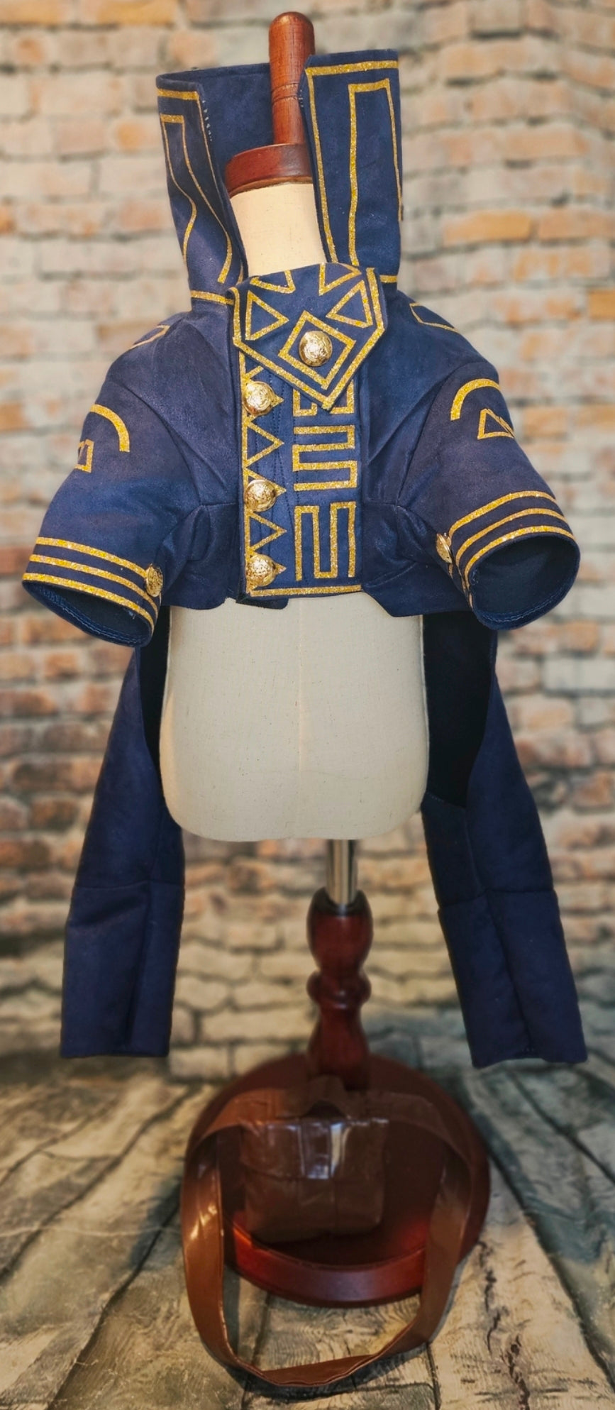 Prince Fiyero pet costume, Fiyero dog costume, Wicked pet costume