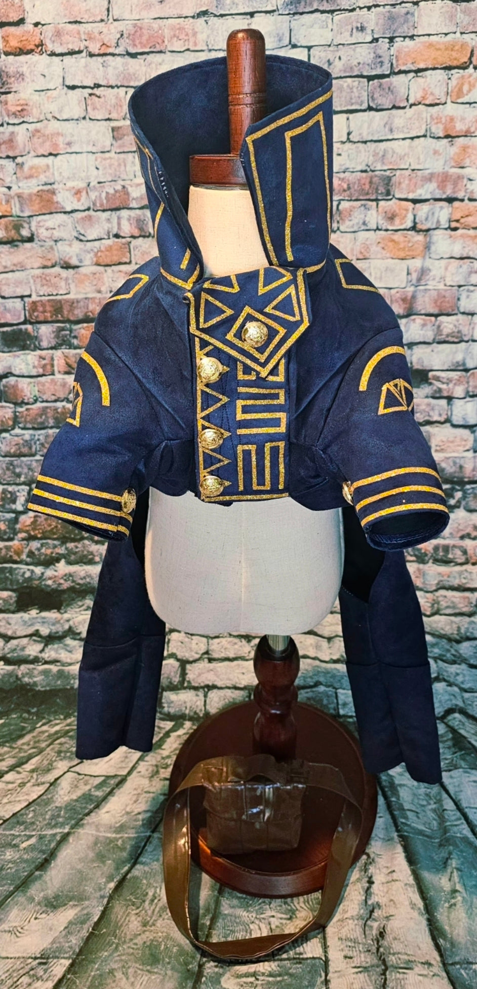 Prince Fiyero pet costume, Fiyero dog costume, Wicked pet costume