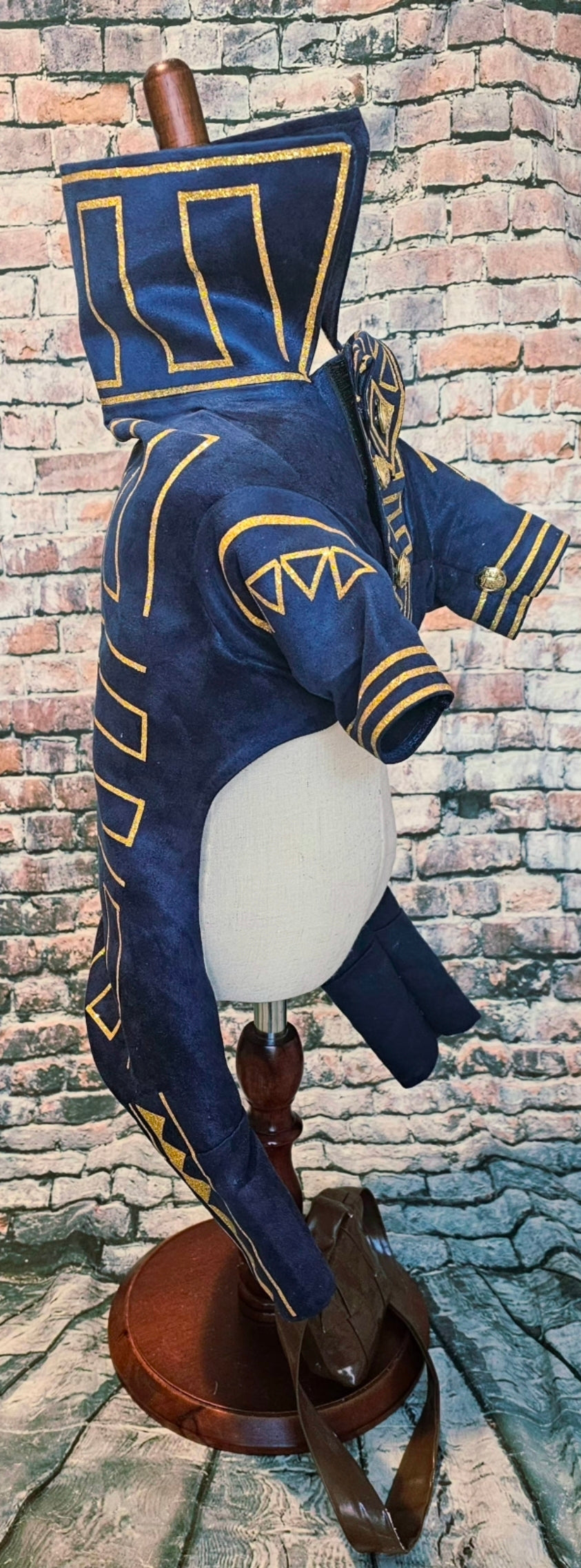 Prince Fiyero pet costume, Fiyero dog costume, Wicked pet costume