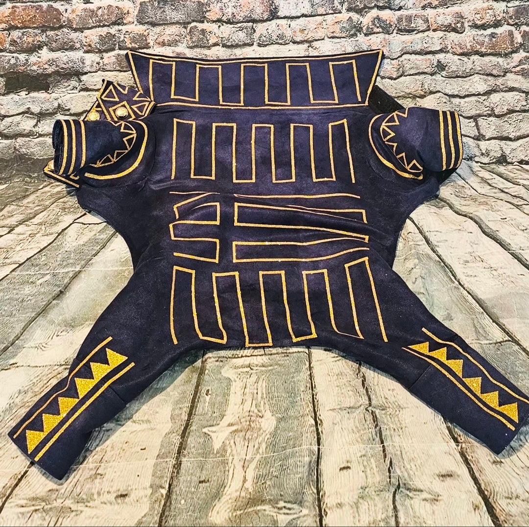 Prince Fiyero pet costume, Fiyero dog costume, Wicked pet costume