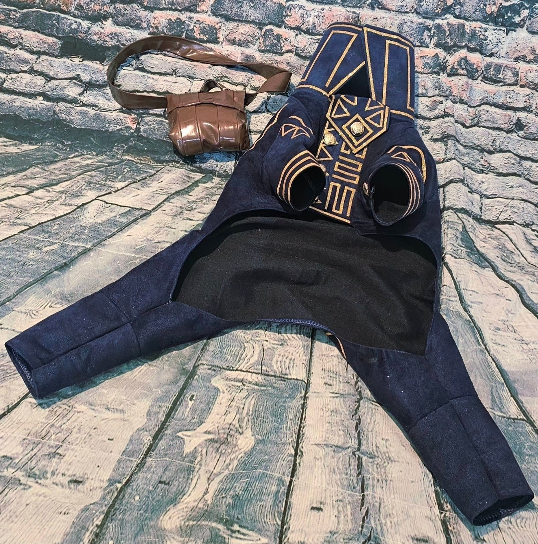 Prince Fiyero pet costume, Fiyero dog costume, Wicked pet costume