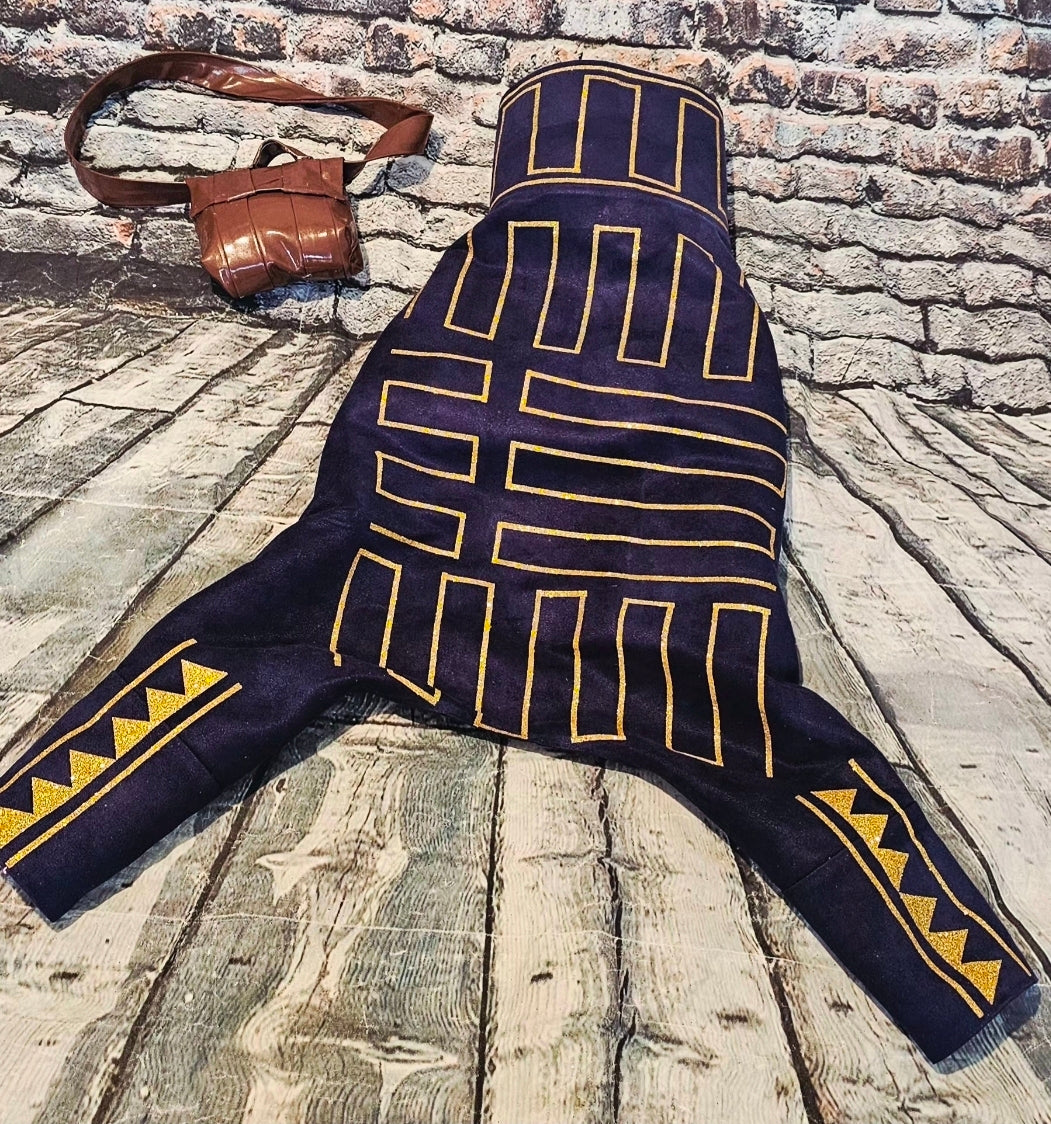 Prince Fiyero pet costume, Fiyero dog costume, Wicked pet costume