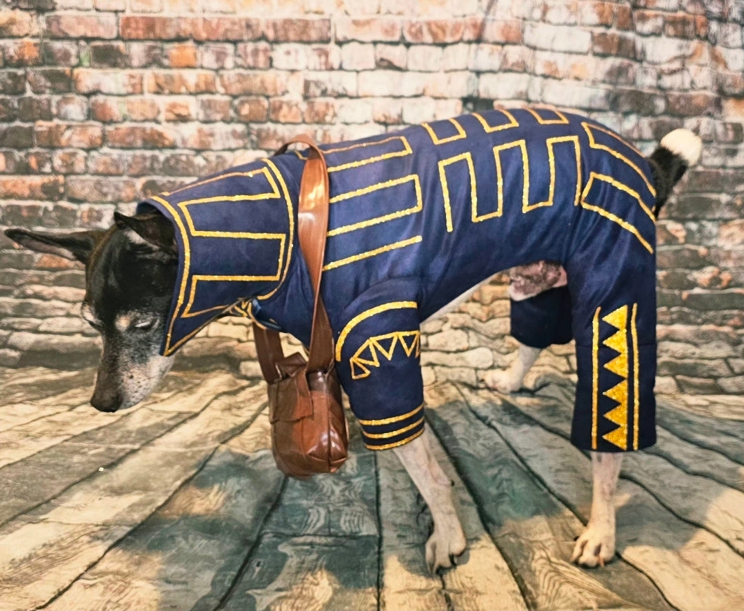 Prince Fiyero pet costume, Fiyero dog costume, Wicked pet costume