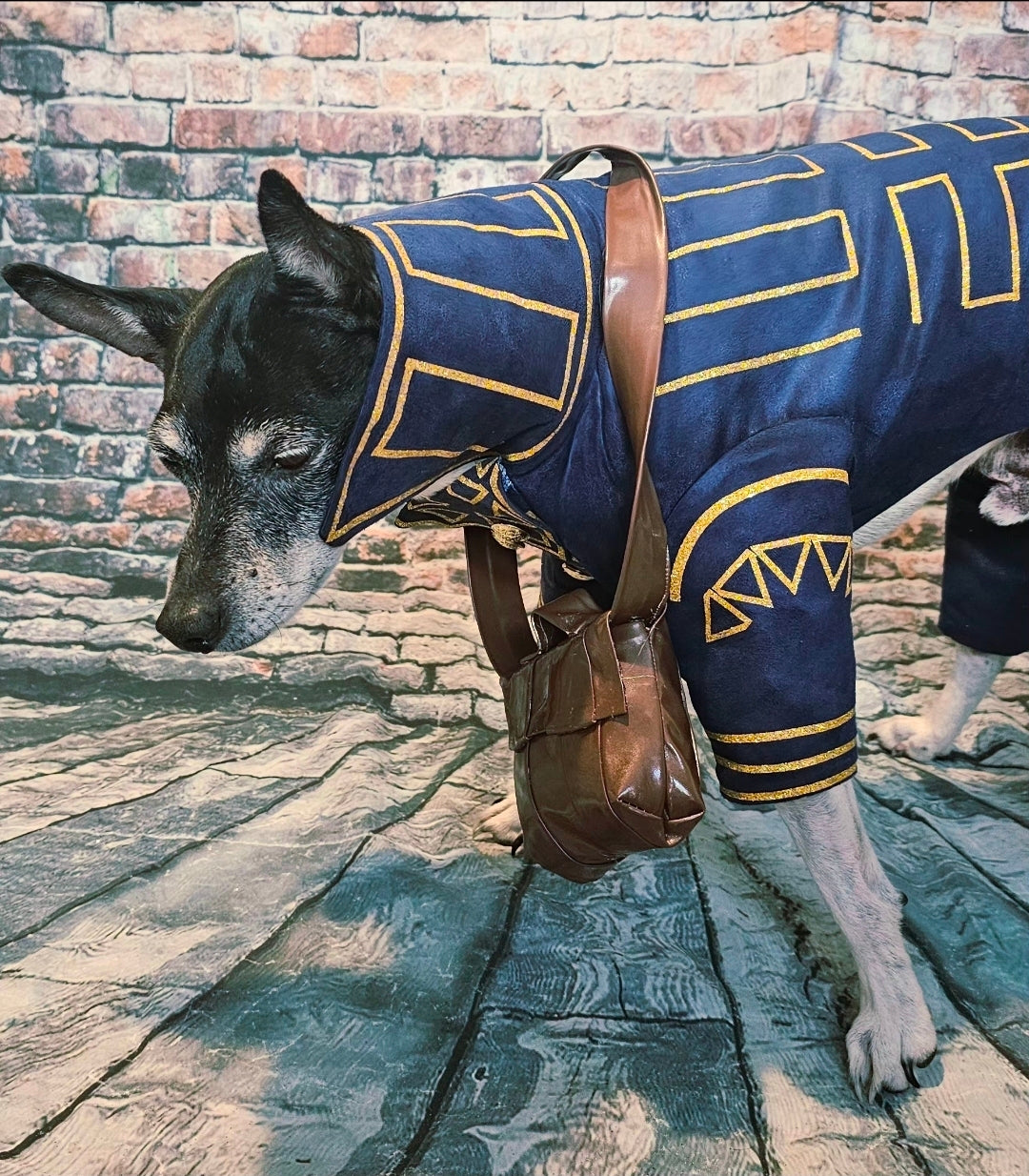 Prince Fiyero pet costume, Fiyero dog costume, Wicked pet costume