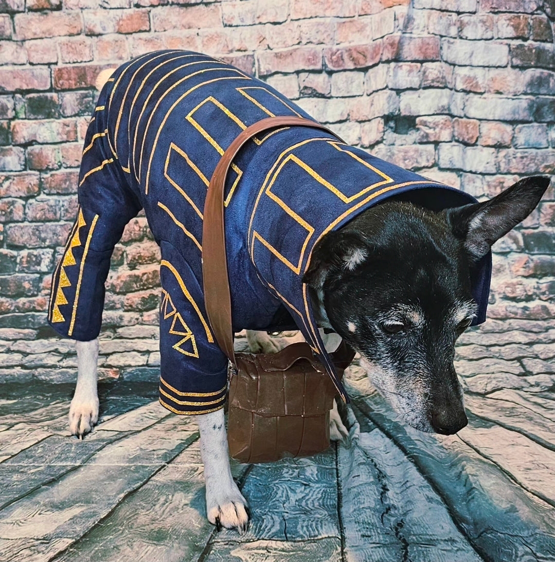 Prince Fiyero pet costume, Fiyero dog costume, Wicked pet costume