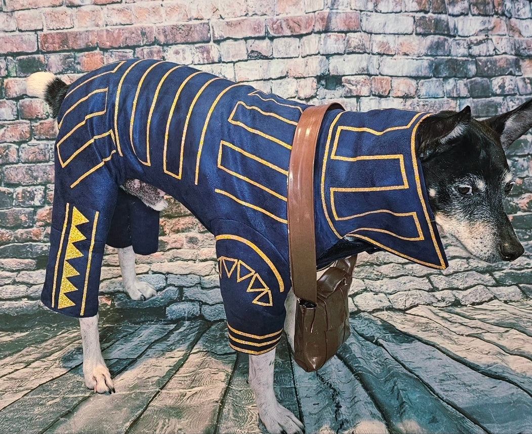 Prince Fiyero pet costume, Fiyero dog costume, Wicked pet costume