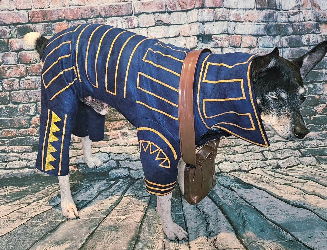 Prince Fiyero pet costume, Fiyero dog costume, Wicked pet costume