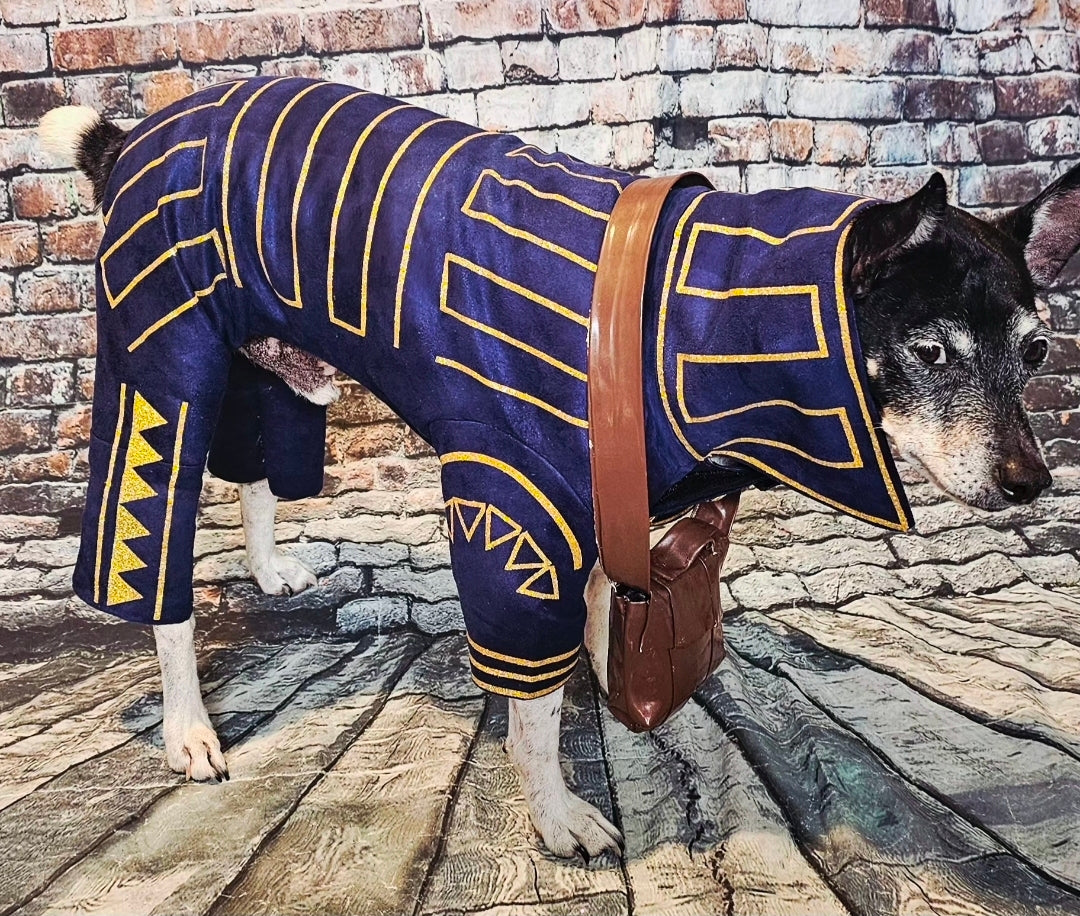 Prince Fiyero pet costume, Fiyero dog costume, Wicked pet costume