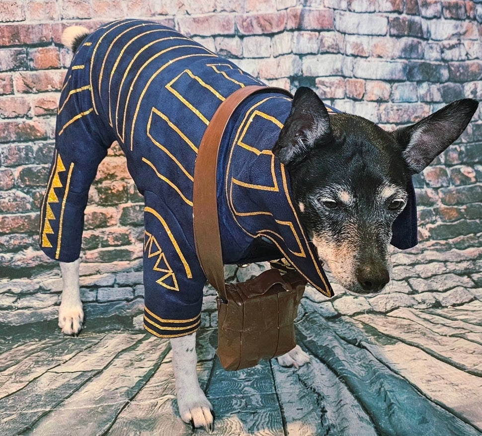 Prince Fiyero pet costume, Fiyero dog costume, Wicked pet costume