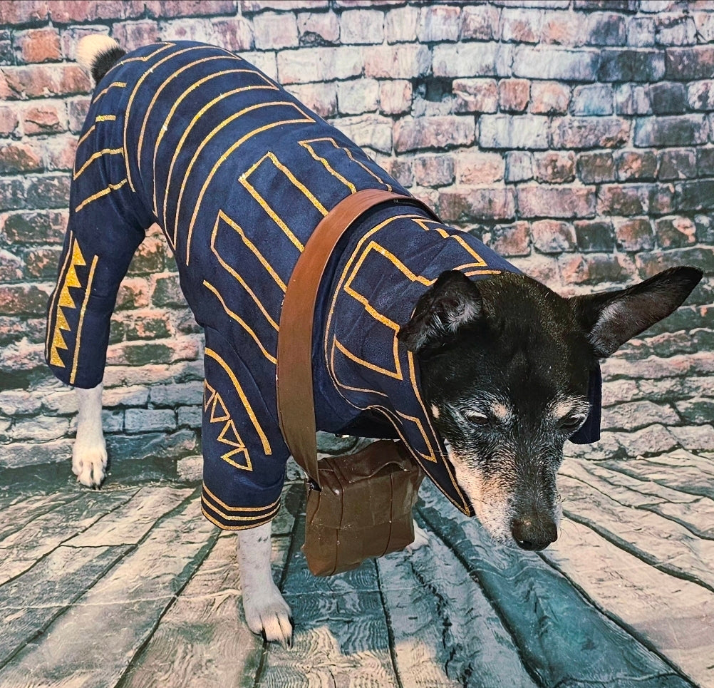 Prince Fiyero pet costume, Fiyero dog costume, Wicked pet costume