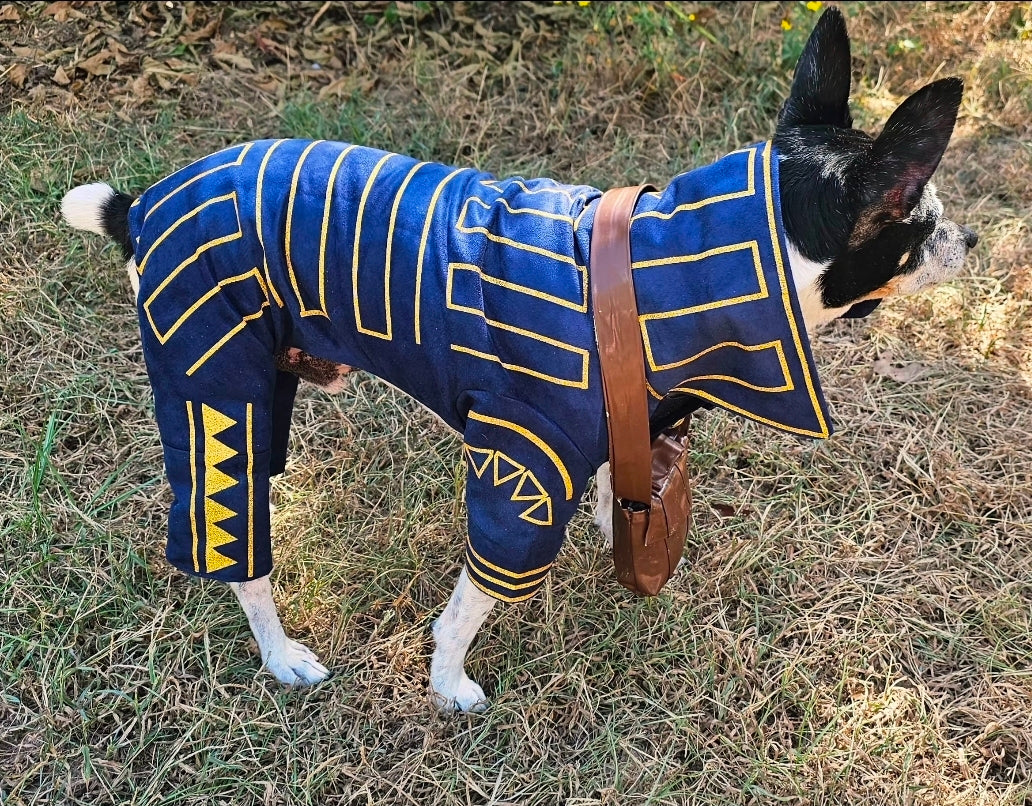 Prince Fiyero pet costume, Fiyero dog costume, Wicked pet costume