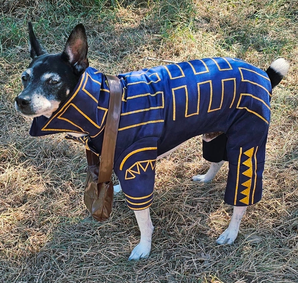 Prince Fiyero pet costume, Fiyero dog costume, Wicked pet costume