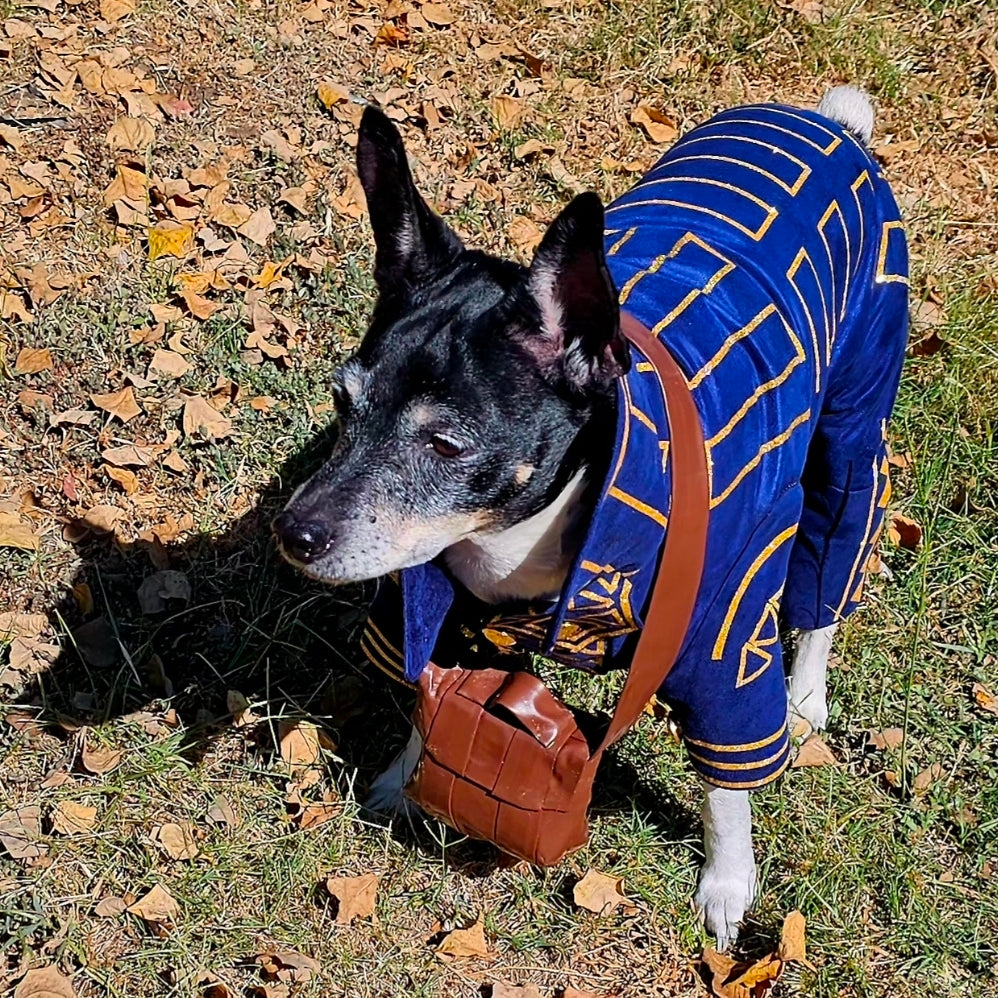 Prince Fiyero pet costume, Fiyero dog costume, Wicked pet costume