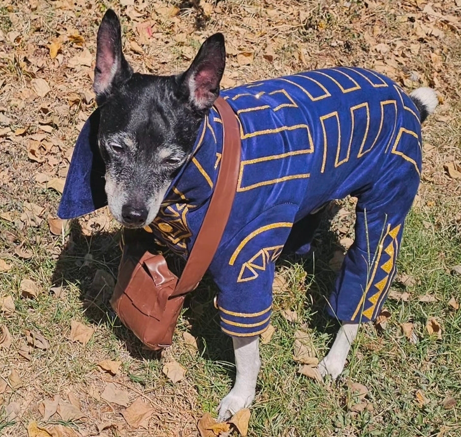 Prince Fiyero pet costume, Fiyero dog costume, Wicked pet costume