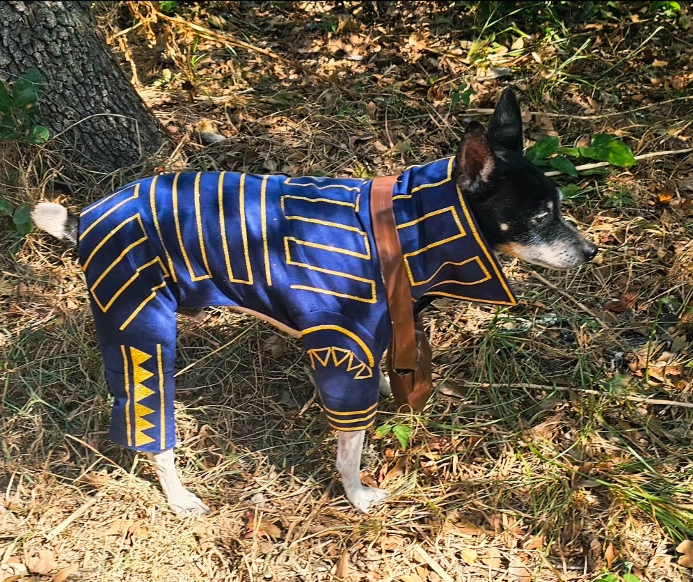 Prince Fiyero pet costume, Fiyero dog costume, Wicked pet costume