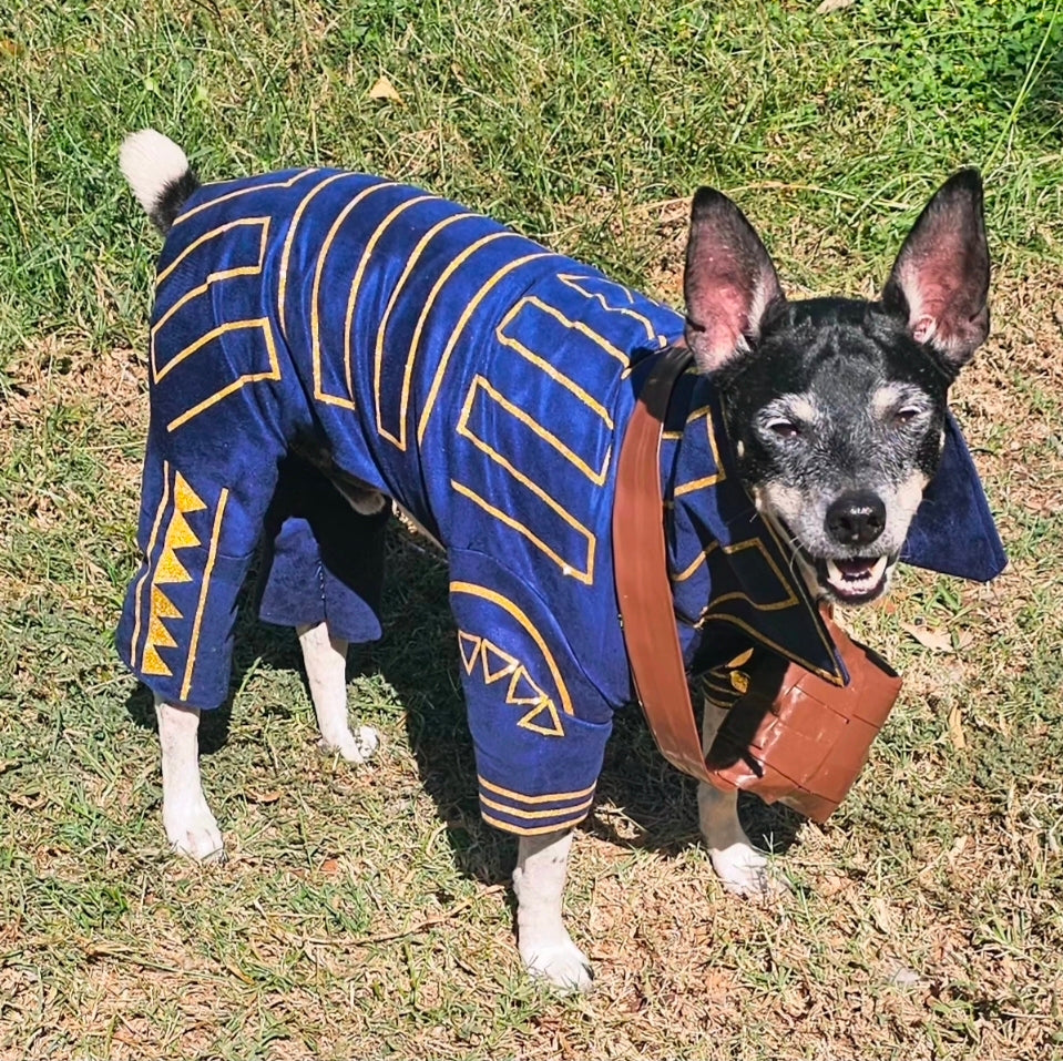 Prince Fiyero pet costume, Fiyero dog costume, Wicked pet costume