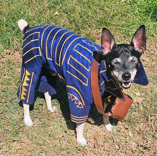 Prince Fiyero pet costume, Fiyero dog costume, Wicked pet costume