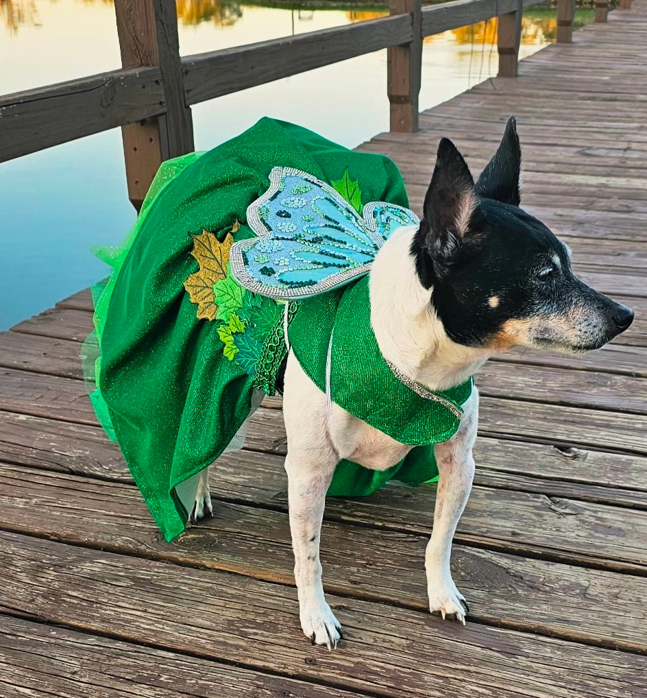 Fairy Pet costume, glitter fairy pet costume, Tinkerbell pet costume, fairy dog costume, fairy cat costume