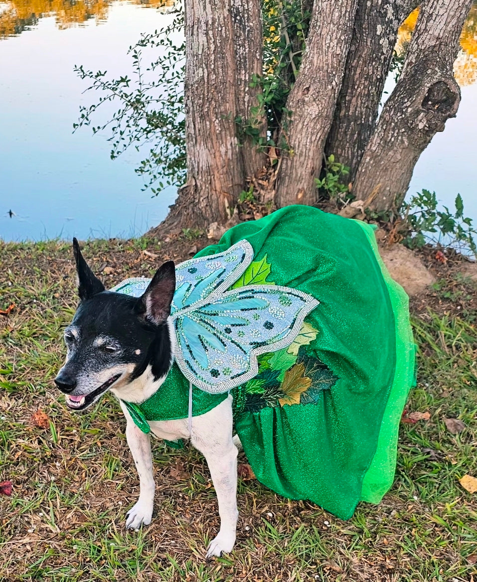 Fairy Pet costume, glitter fairy pet costume, Tinkerbell pet costume, fairy dog costume, fairy cat costume
