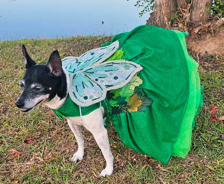 Fairy Pet costume, glitter fairy pet costume, Tinkerbell pet costume, fairy dog costume, fairy cat costume