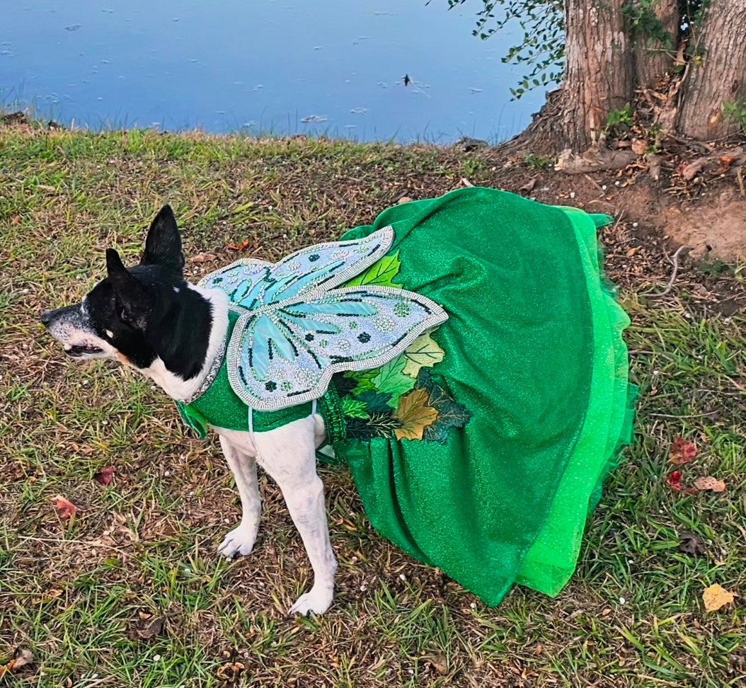 Fairy Pet costume, glitter fairy pet costume, Tinkerbell pet costume, fairy dog costume, fairy cat costume