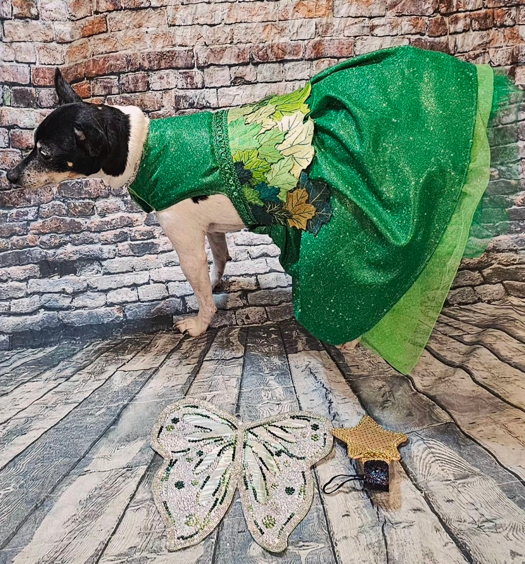 Fairy Pet costume, glitter fairy pet costume, Tinkerbell pet costume, fairy dog costume, fairy cat costume