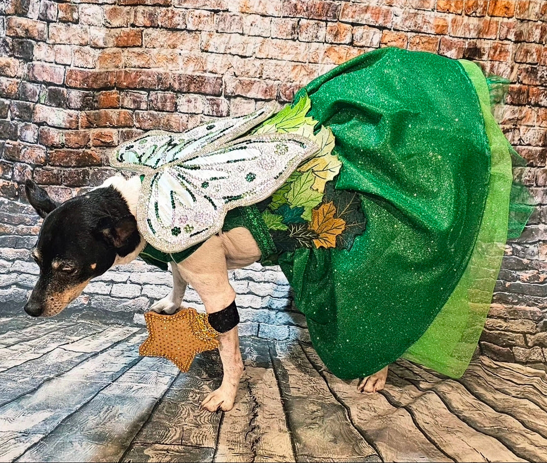 Fairy Pet costume, glitter fairy pet costume, Tinkerbell pet costume, fairy dog costume, fairy cat costume