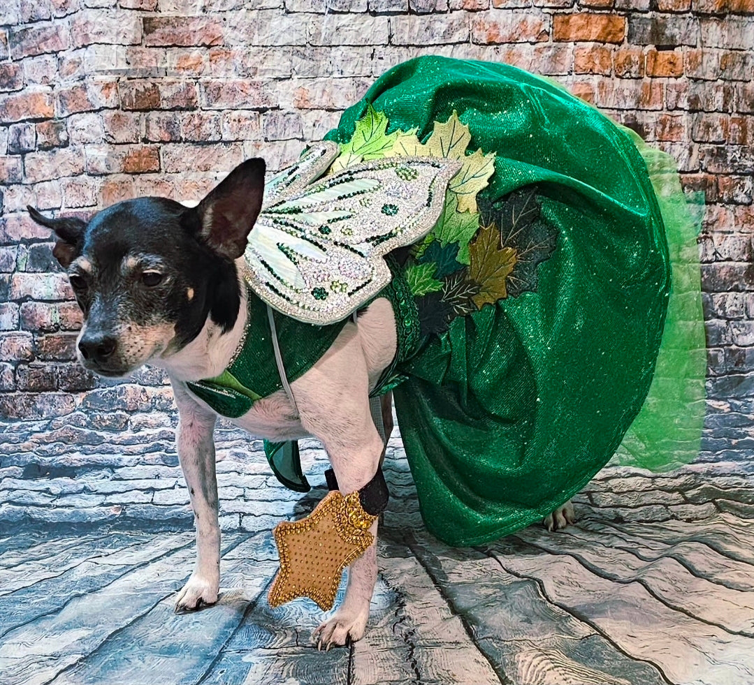 Fairy Pet costume, glitter fairy pet costume, Tinkerbell pet costume, fairy dog costume, fairy cat costume