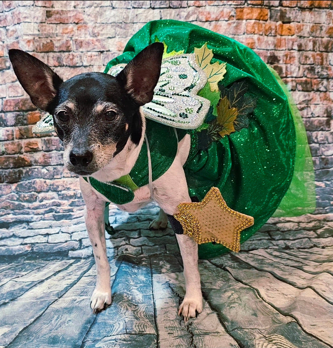 Fairy Pet costume, glitter fairy pet costume, Tinkerbell pet costume, fairy dog costume, fairy cat costume
