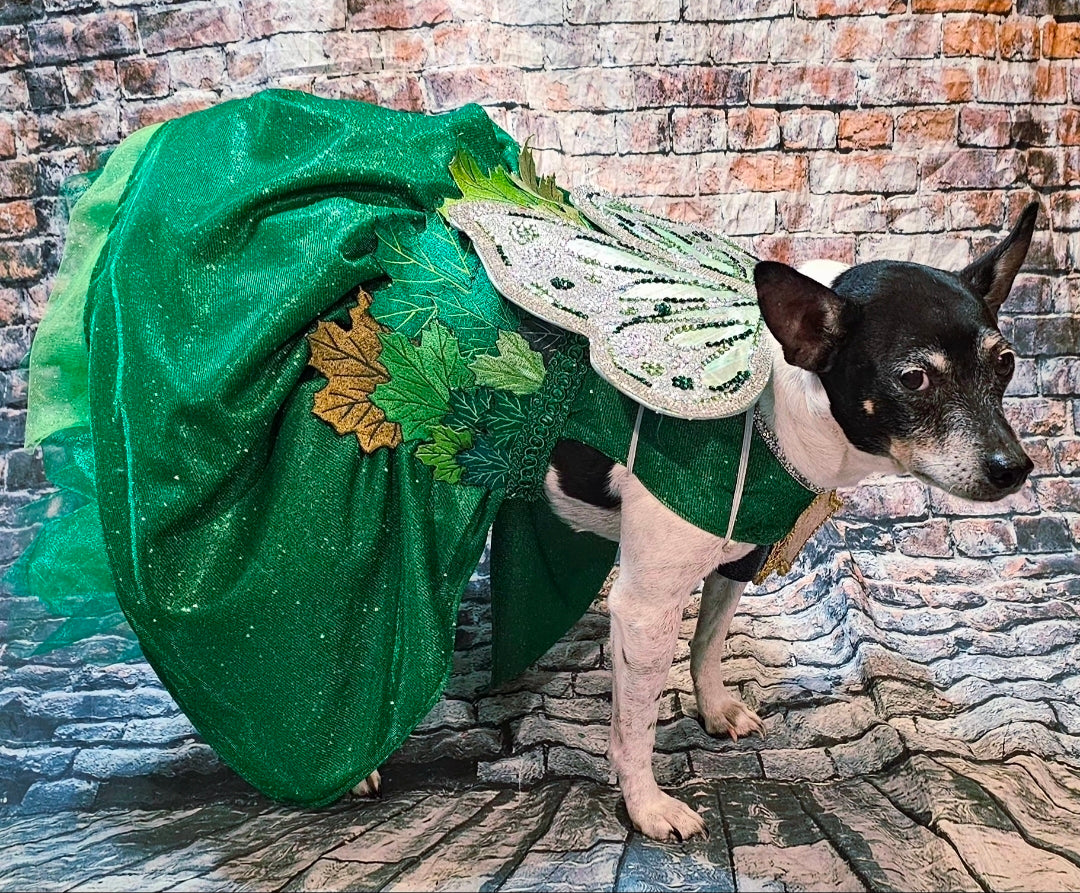 Fairy Pet costume, glitter fairy pet costume, Tinkerbell pet costume, fairy dog costume, fairy cat costume