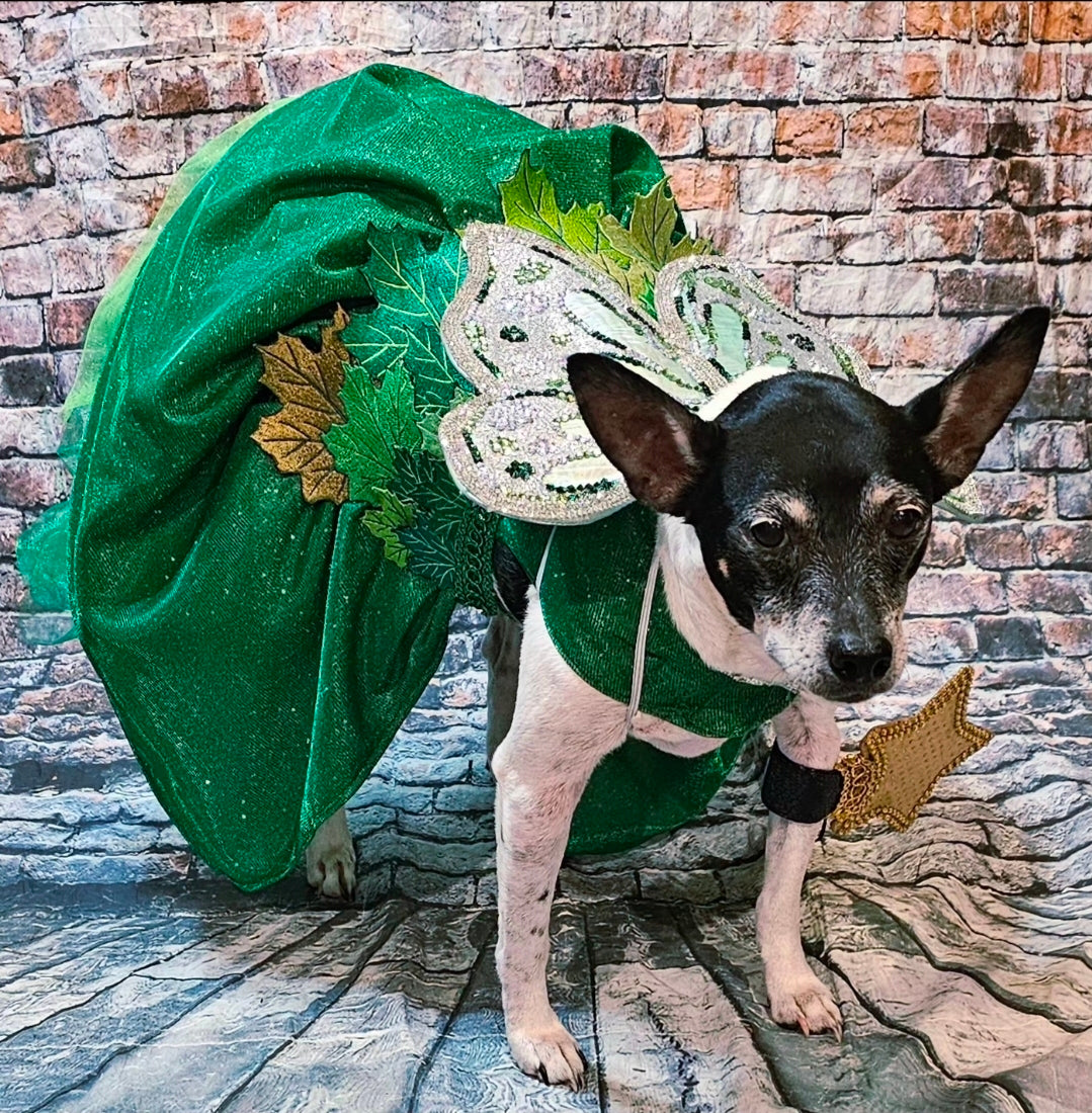 Fairy Pet costume, glitter fairy pet costume, Tinkerbell pet costume, fairy dog costume, fairy cat costume