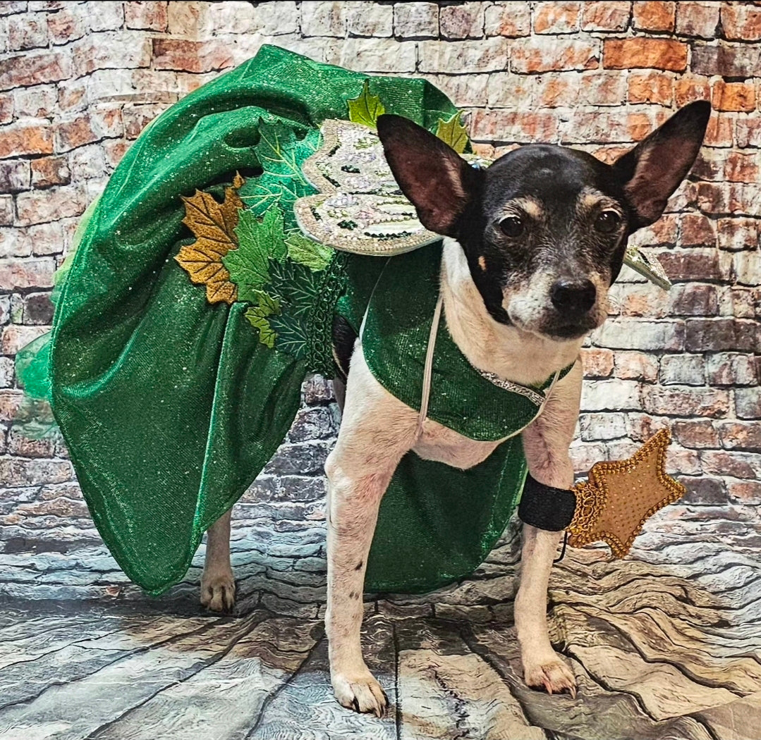 Fairy Pet costume, glitter fairy pet costume, Tinkerbell pet costume, fairy dog costume, fairy cat costume