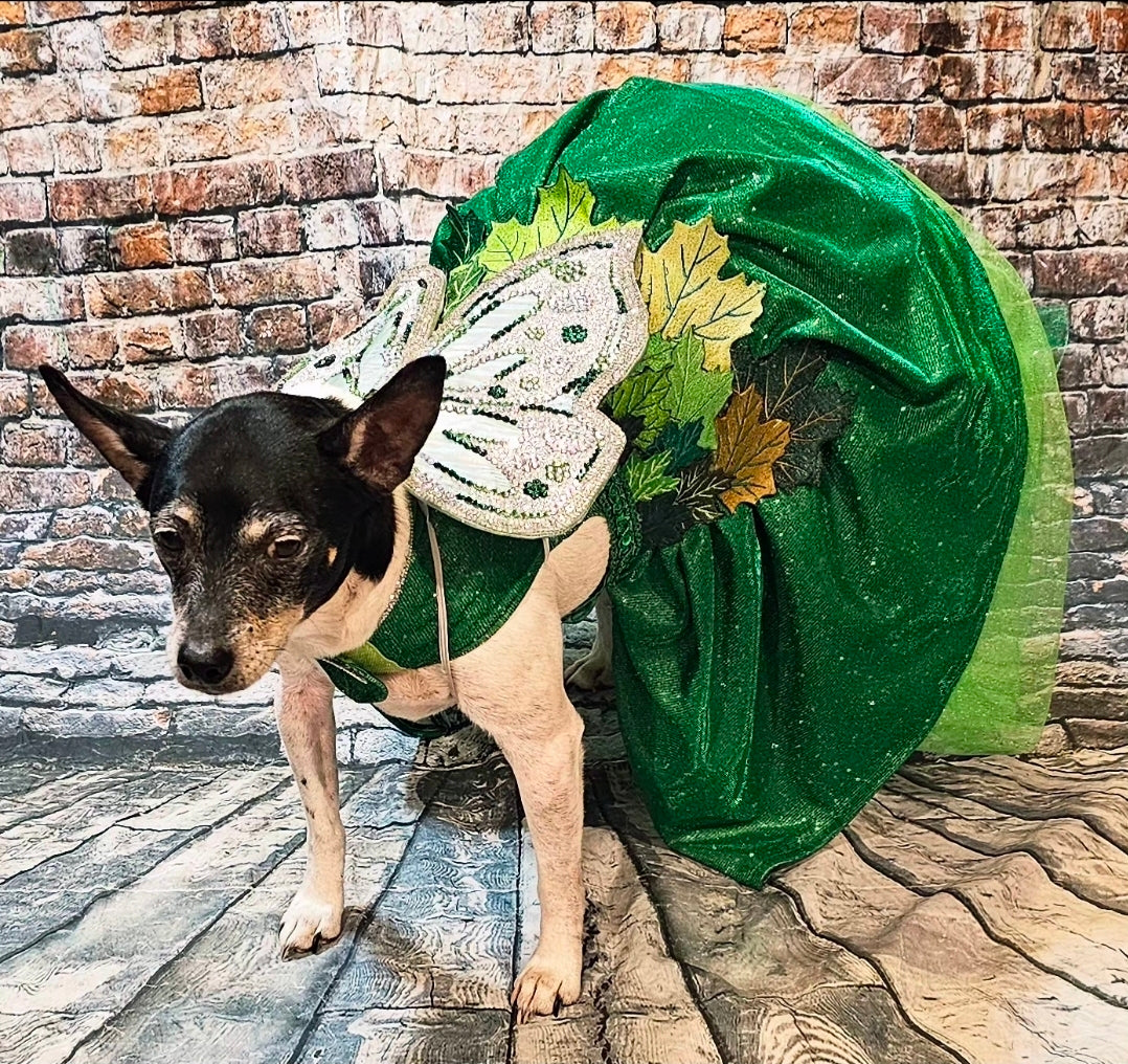 Fairy Pet costume, glitter fairy pet costume, Tinkerbell pet costume, fairy dog costume, fairy cat costume