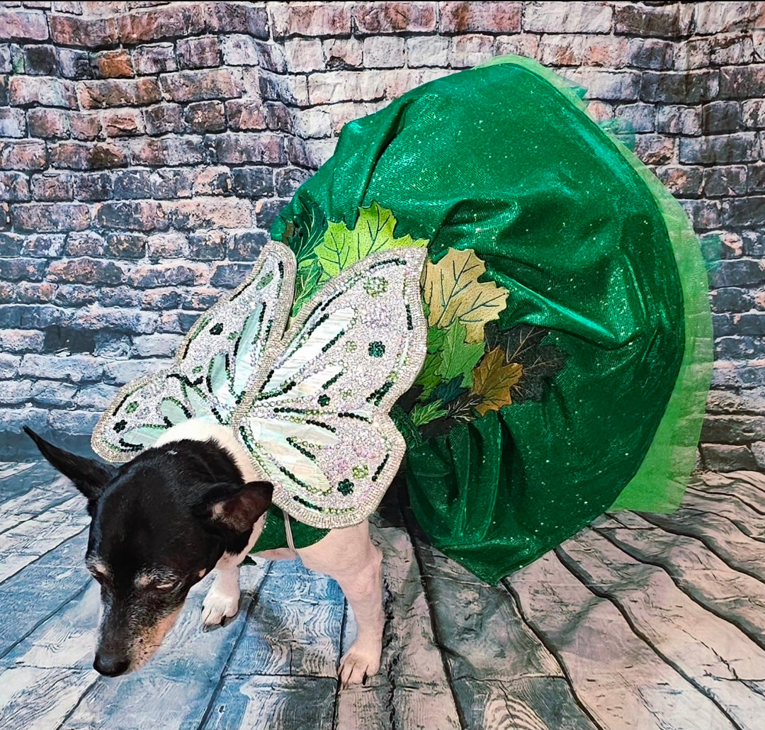 Fairy Pet costume, glitter fairy pet costume, Tinkerbell pet costume, fairy dog costume, fairy cat costume