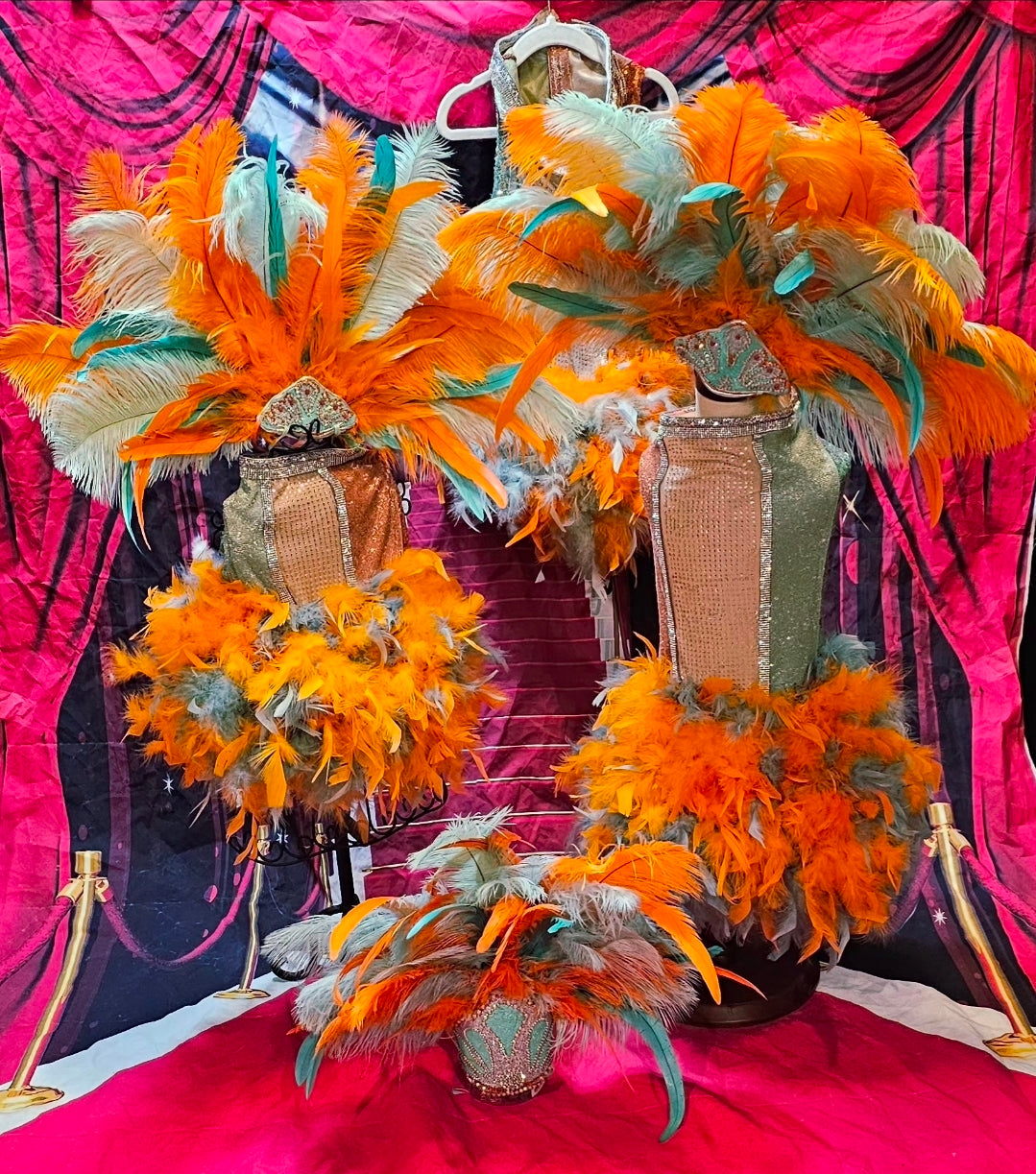 Showgirl pet costume, Life of showpet costume