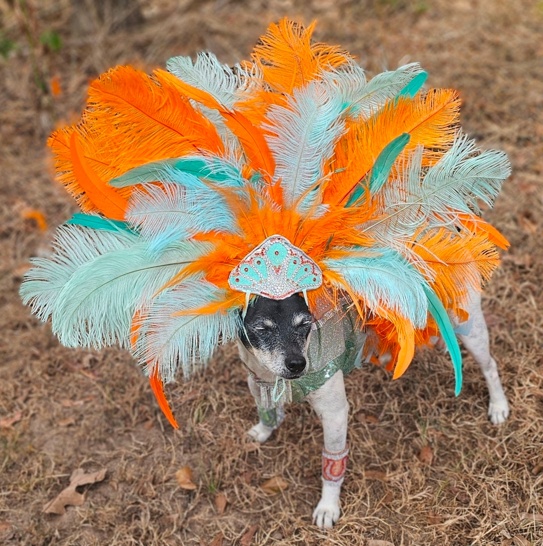 Showgirl pet costume, Life of showpet costume